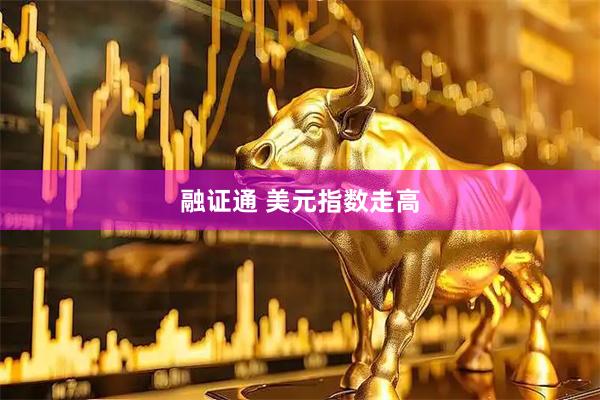 融证通 美元指数走高